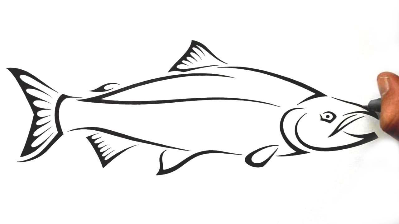 1280x720 How To Draw A Salmon Fish - Salmon Fish Drawing