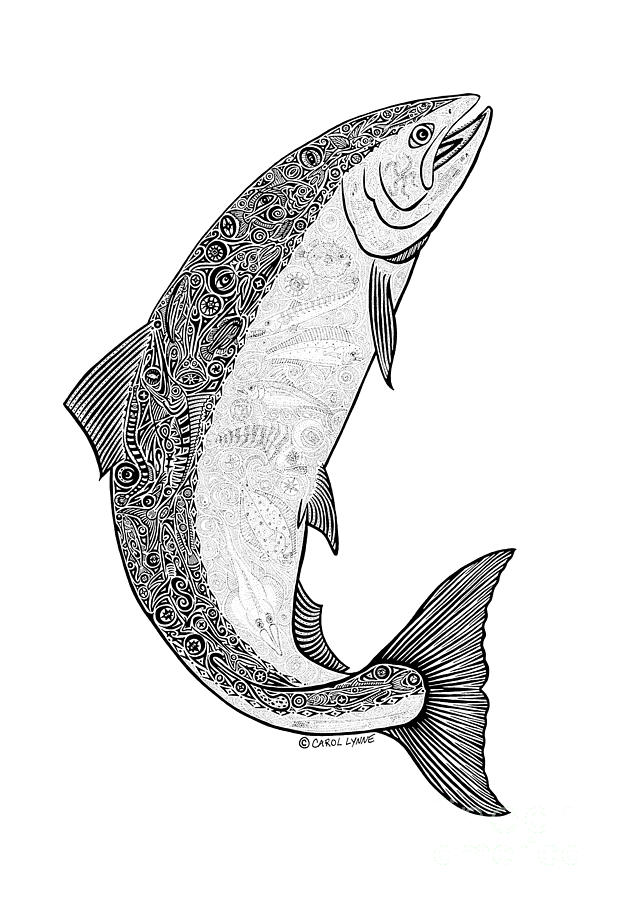 618x900 Salmon Ii Drawing - Salmon Fish Drawing