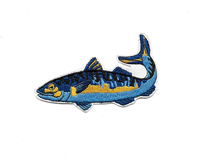 679x533 Blue Salmon Fish Patch Clothing - Salmon Fish Drawing