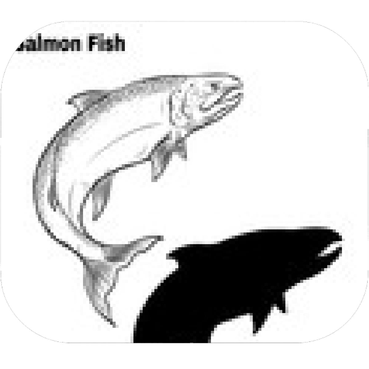 1200x1200 Designs Mein Mousepad Design Mousepad Selbst Designen - Salmon Fish Drawing