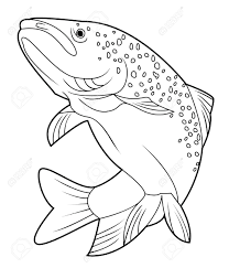 208x243 Image Result For Drawings Of Trout Sports Peixes - Salmon Line Drawing