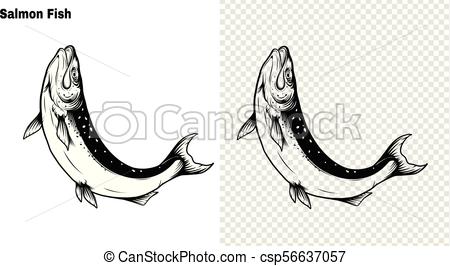 450x266 salmon art highly detailed in line art style fish vector - Salmon Line Drawing