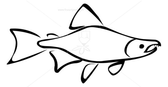 548x283 salmon outline thumb salmonfishoutline - Salmon Line Drawing
