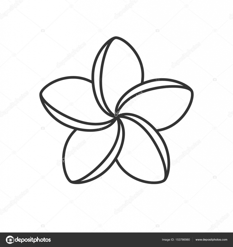 963x1024 plumeria flower drawing designs and spa salon plumeria flower icon - Salon Drawing