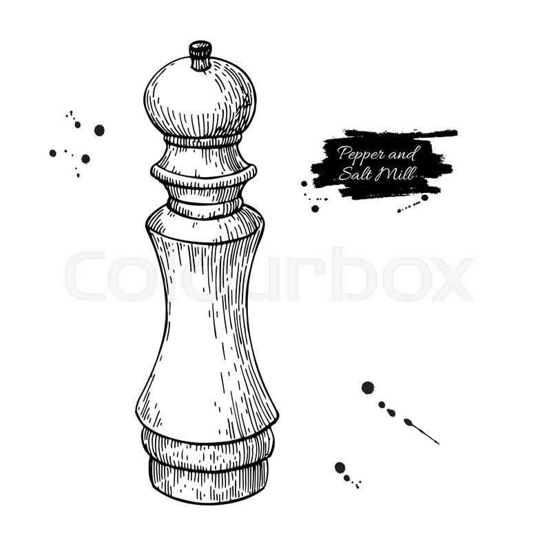 800x800 pepper and salt mill vector drawing stock vector colourbox - Salt And Pepper Drawing