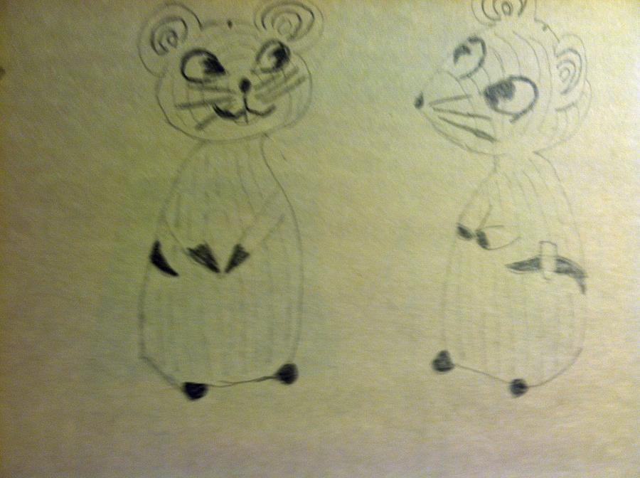 900x672 mice salt and pepper shakers drawing - Salt And Pepper Shakers Drawing