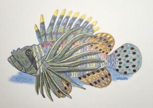 Saltwater Fish Drawing at PaintingValley.com | Explore collection of