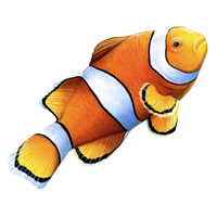 200x200 mini reef of prospect park, pa your philadelphia area coral - Saltwater Fish Drawing