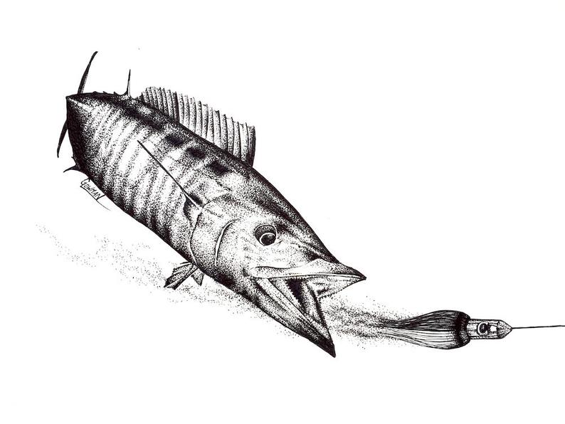 Saltwater Fish Drawing at PaintingValley.com | Explore collection of