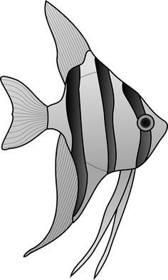 Saltwater Fish Drawing at PaintingValley.com | Explore collection of