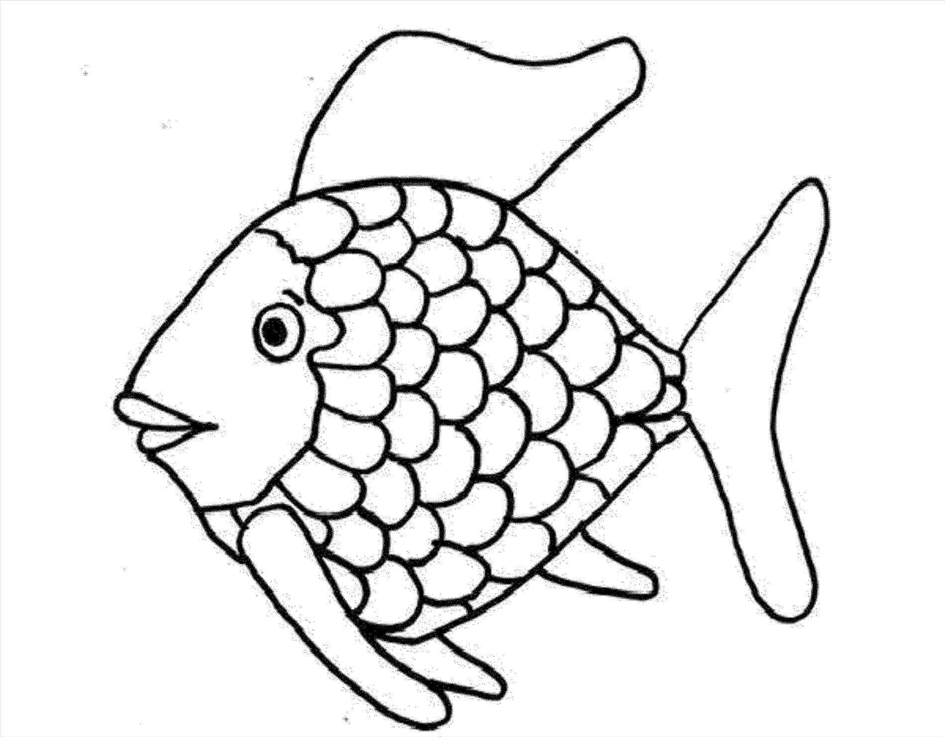1899x1481 of angelfish drawing download on ubisaferhubisafeorg collection - Saltwater Fish Drawing