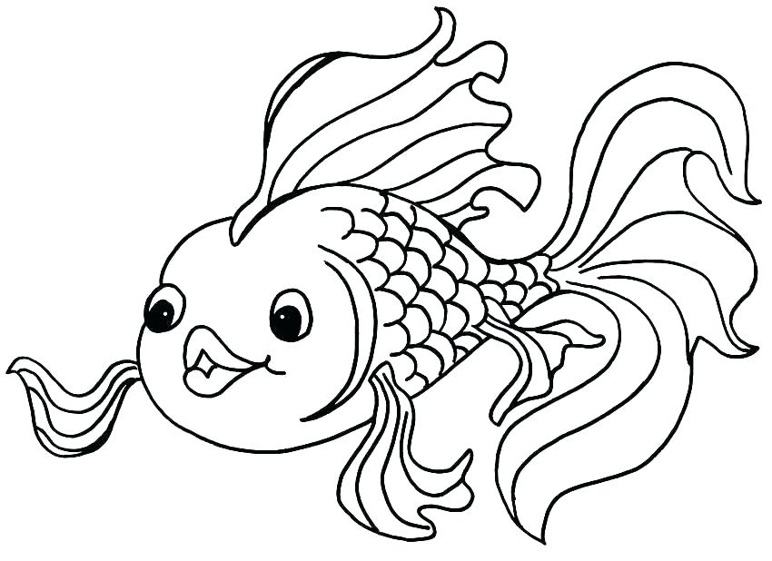 850x618 coloring pages to print for toddlers disney moana online - Saltwater Fish Drawing