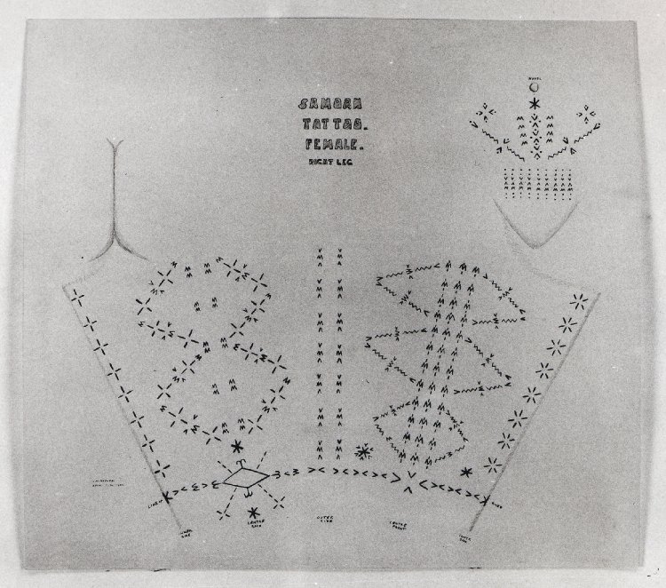 750x662 Jack W Grove's Drawings Of Samoan Tattoos Sang Bleu - Samoan Drawings