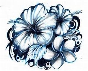 Samoan Flower Drawing at PaintingValley.com | Explore collection of ...