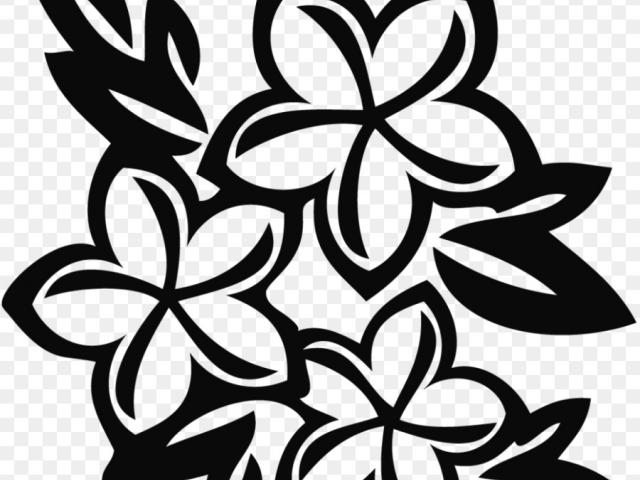 640x480 frangipani clipart samoan flower - Samoan Flower Drawing