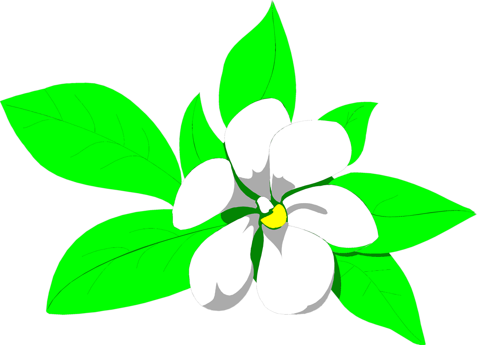 958x693 Collection Of Free Vector Flower Sampaguita Download On Ui Ex - Sampaguita Drawing