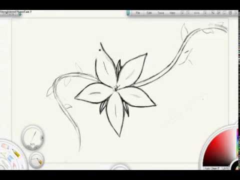 480x360 Flower Drawing - Sampaguita Drawing