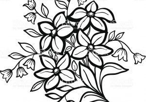 300x210 Sampaguita Easy To Draw Collection Of Free Drawing Flower Simple - Sampaguita Drawing