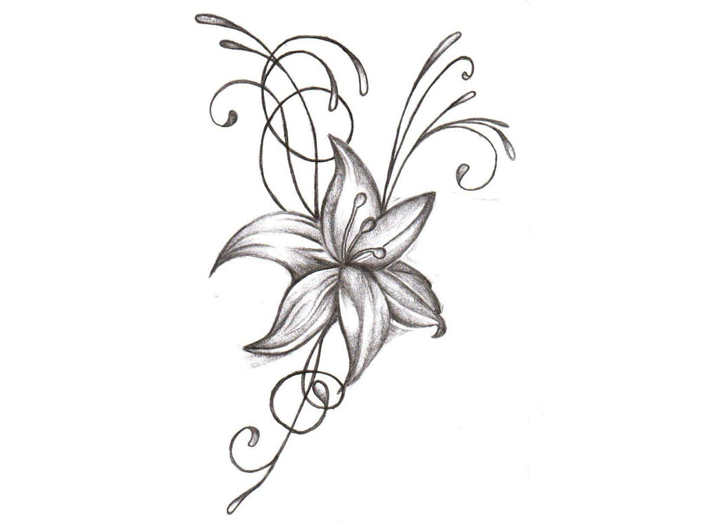 1024x768 sampaguita flower drawing leancy download - Sampaguita Flower Drawing