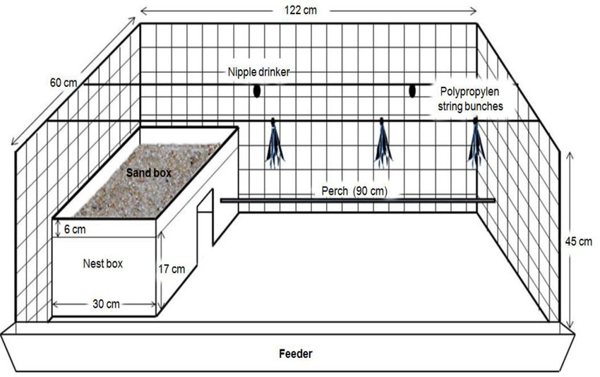 850x534 sample drawing of a furnished cage - Sample Drawing