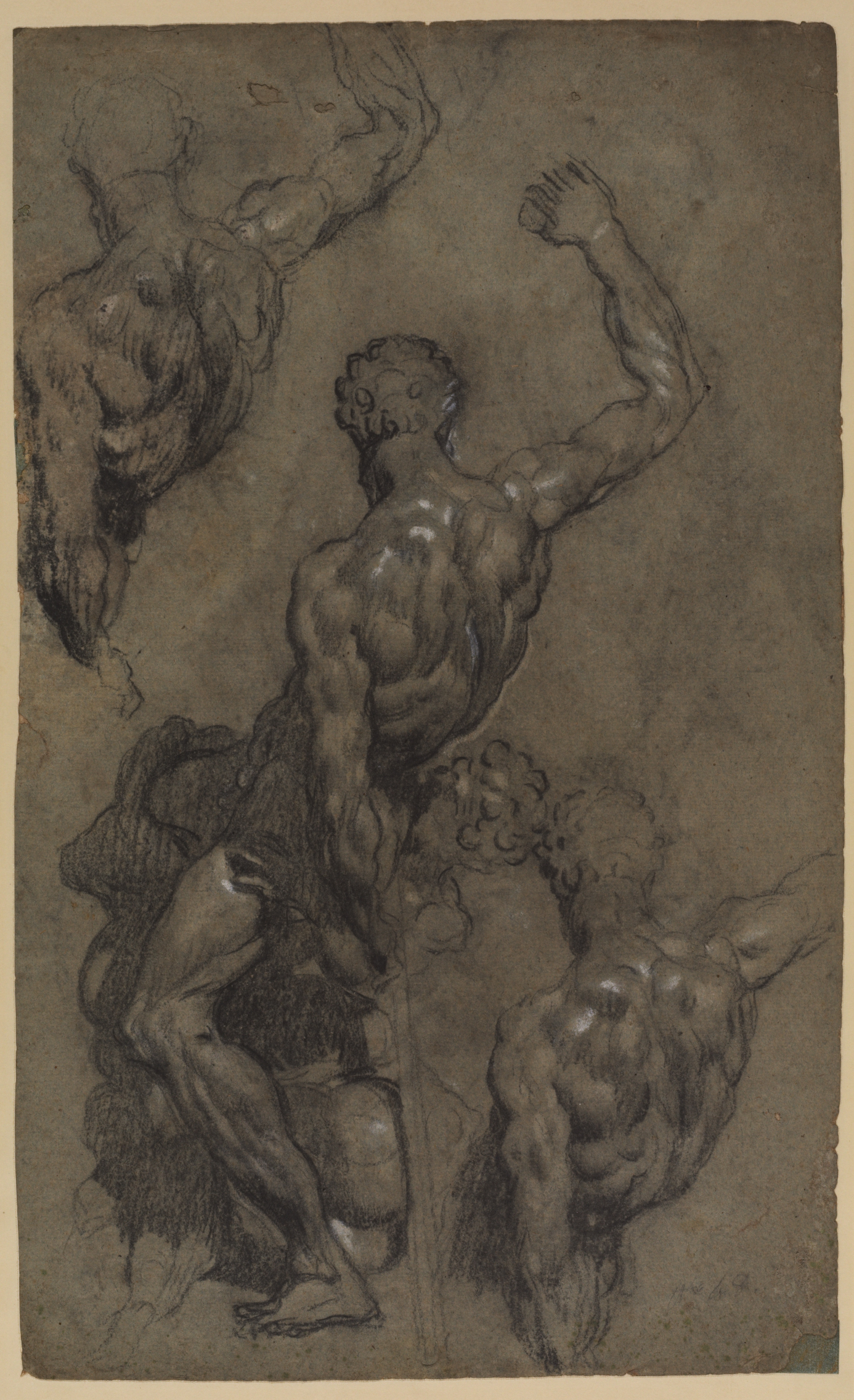 1386x2272 tintoretto, samson - Samson Drawing