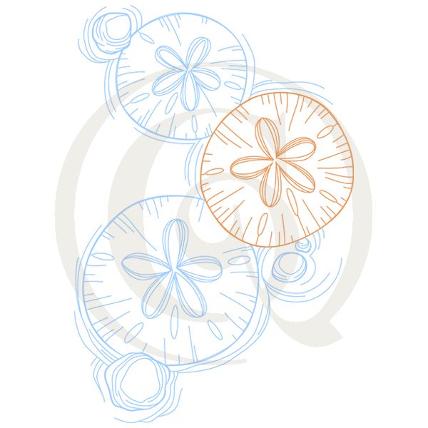 600x600 Under The Sea - Sand Dollar Drawing