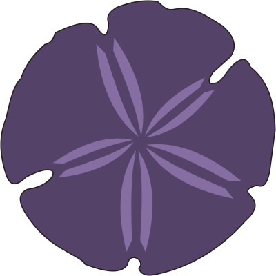 400x400 sand dollar drawing - Sand Dollar Drawing