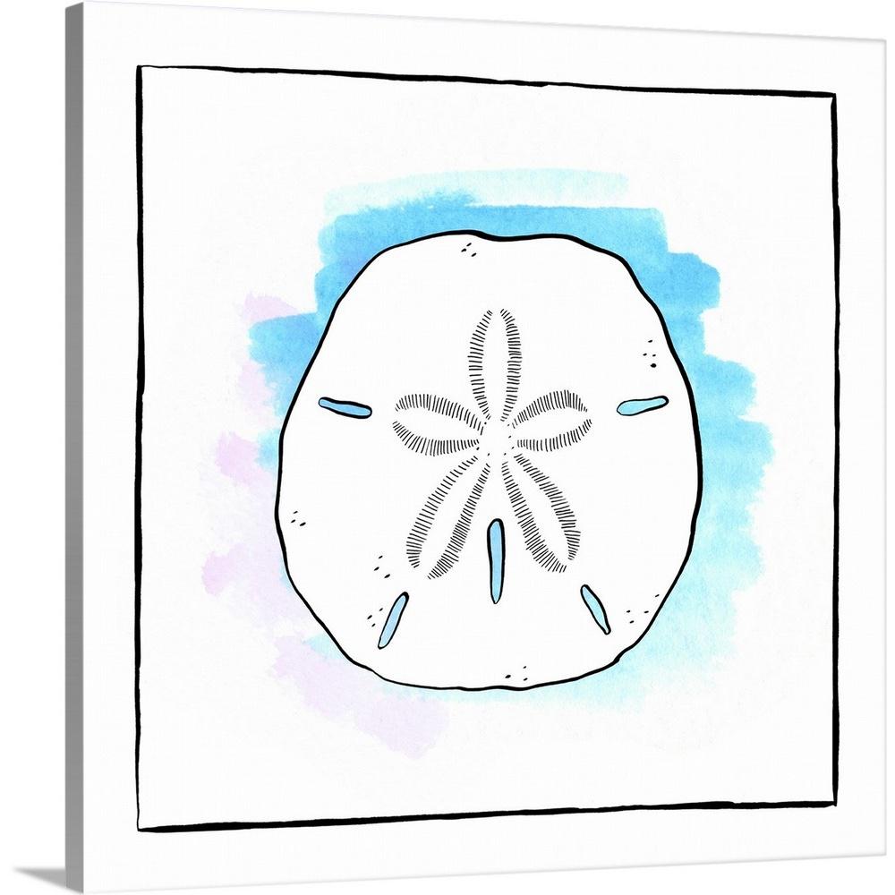 Sand Dollar Drawing at Explore collection of Sand