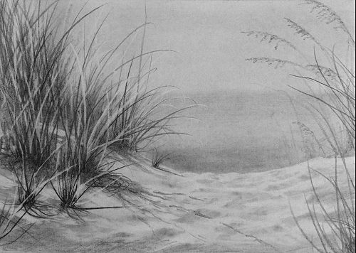 500x356 how to draw sand dunes painting techniques in drawings - Sand Dunes Drawing