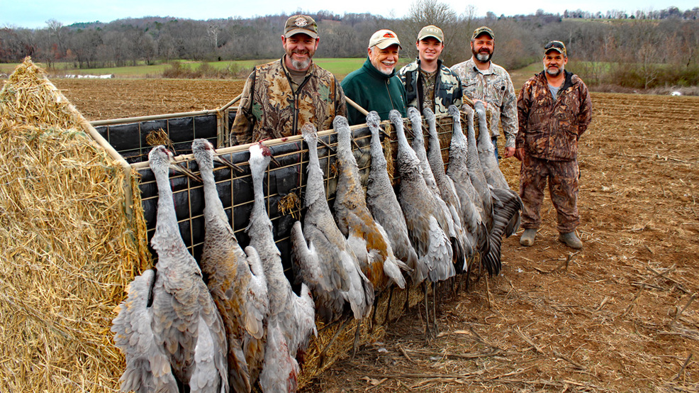 986x554 permit drawing for sandhill crane hunting to happen in rhea county - Sandhill Crane Drawing