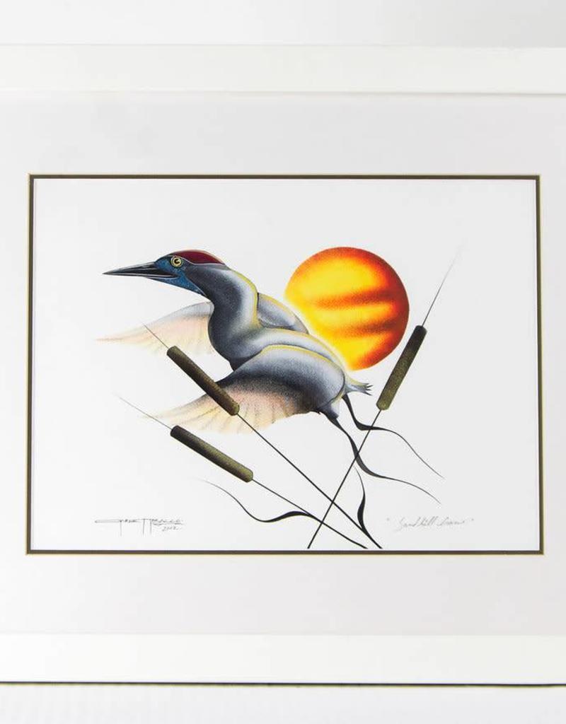 800x1024 sandhill crane - Sandhill Crane Drawing