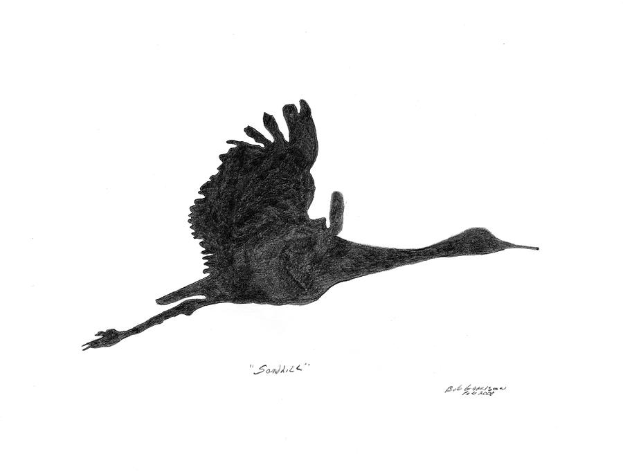 900x685 sandhill crane drawing - Sandhill Crane Drawing