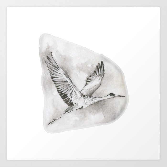 700x700 sandhill crane - Sandhill Crane Drawing