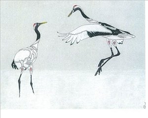 300x241 tribal dancing cranesl drawing - Sandhill Crane Drawing