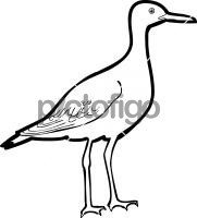 181x200 industry specific freehand image - Sandpiper Drawing