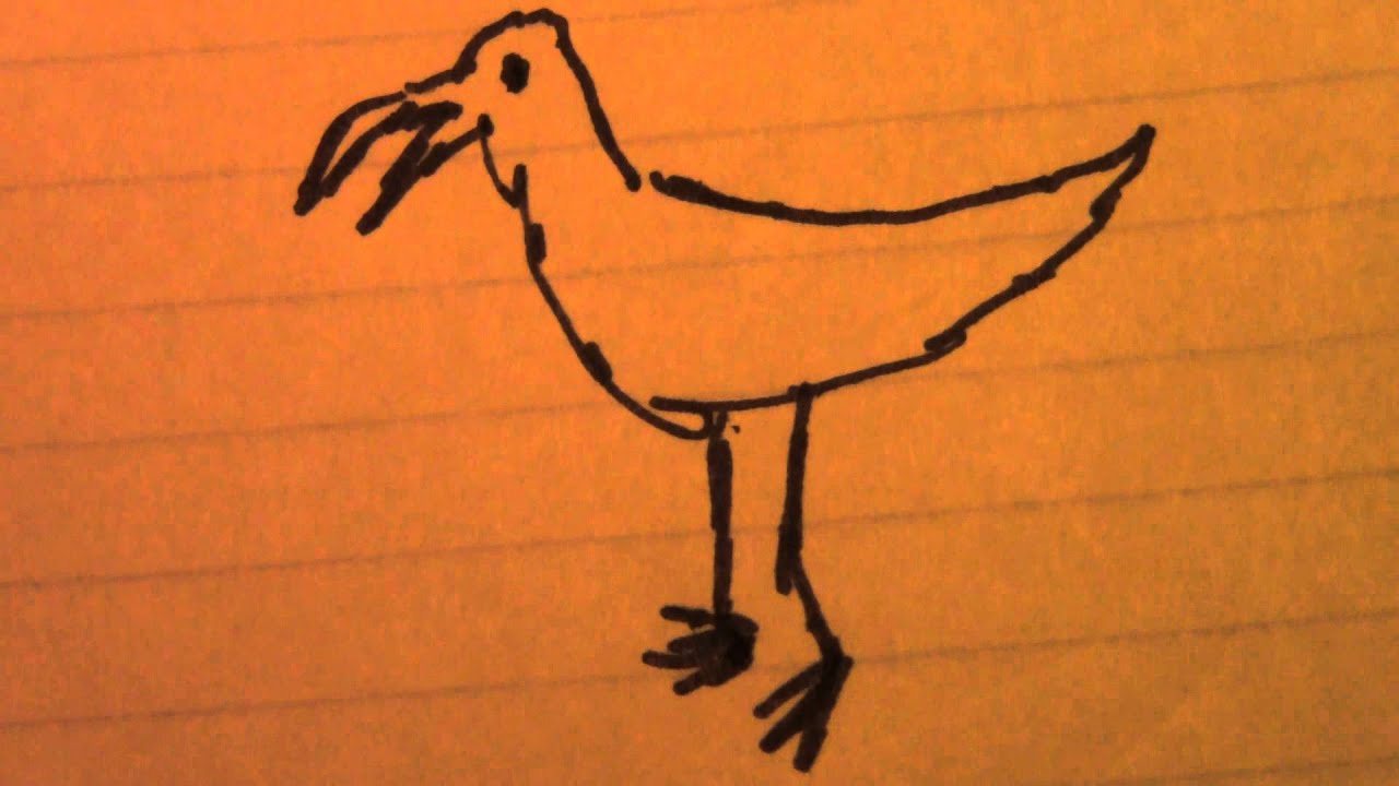 1280x720 A Sandpiper Drawing - Sandpiper Drawing