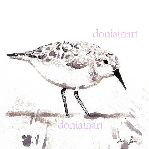 570x570 Art Print Sandpiper Bird Art Wine Painting Ink - Sandpiper Drawing