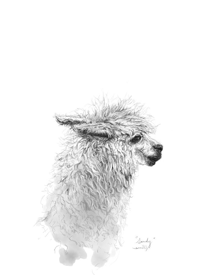 675x900 Sandy Drawing - Sandy Drawing