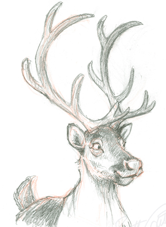 324x444 holiday - Santa And Reindeer Drawing