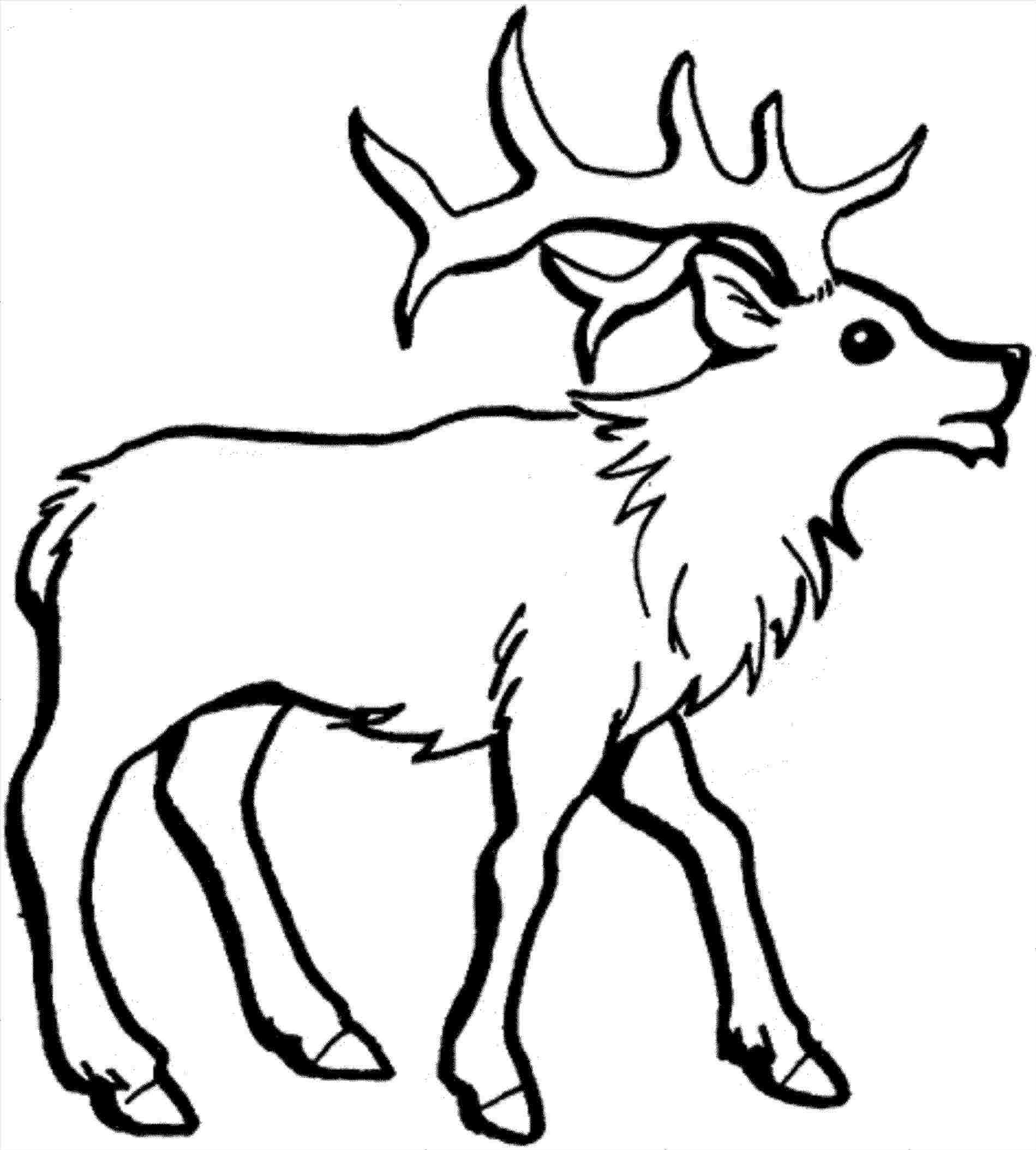 1899x2108 How To Draw A Reindeer - Santa And Reindeer Drawing