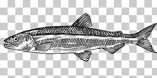 310x155 La Russ Restaurant Sardine Drawing Computer Icons Fish Food - Sardine Drawing