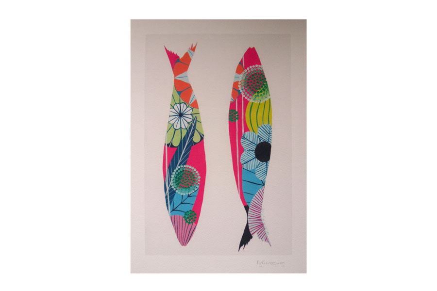 900x600 Sardine Drawing Print - Sardine Drawing