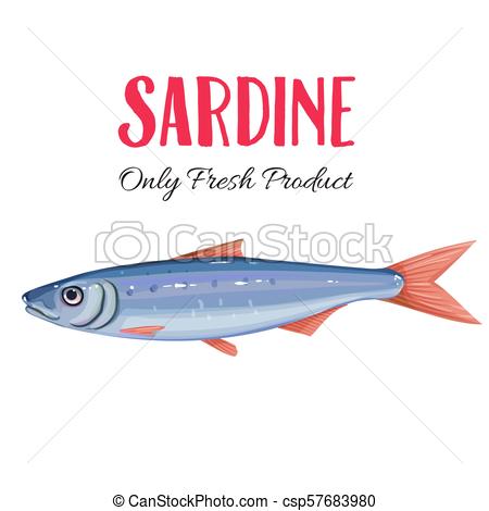 450x470 Vector Sardine Icon Badge Fish For Design Seafood Packaging - Sardine Drawing