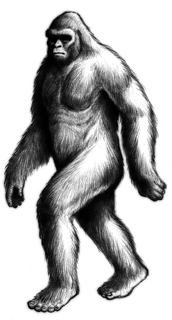 Sasquatch Drawing At Explore Collection Of