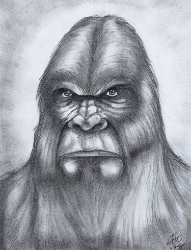 375x490 Sasquatch Drawing - Sasquatch Drawing