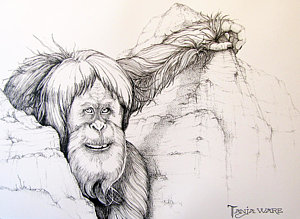 300x219 Sasquatch Drawings Fine Art America - Sasquatch Drawing