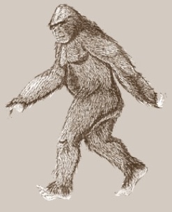 247x304 Sasquatch Drawing Free Download - Sasquatch Drawing