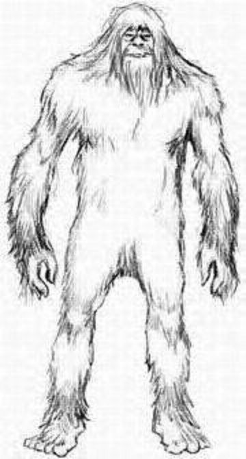 360x670 Bigfoot Drawing - Sasquatch Drawing