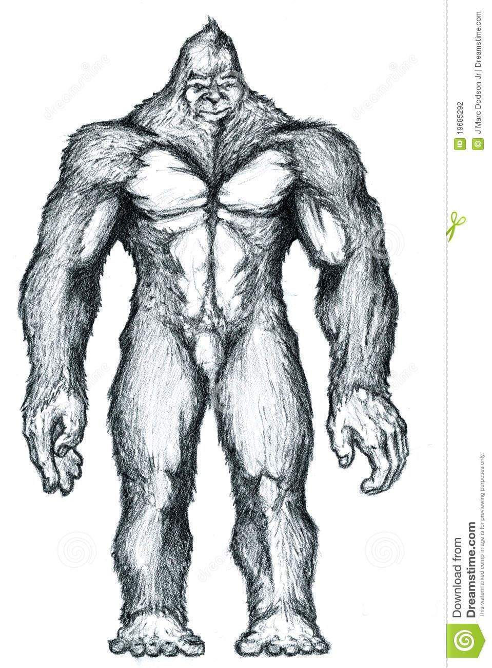 Sasquatch Drawing at Explore collection of