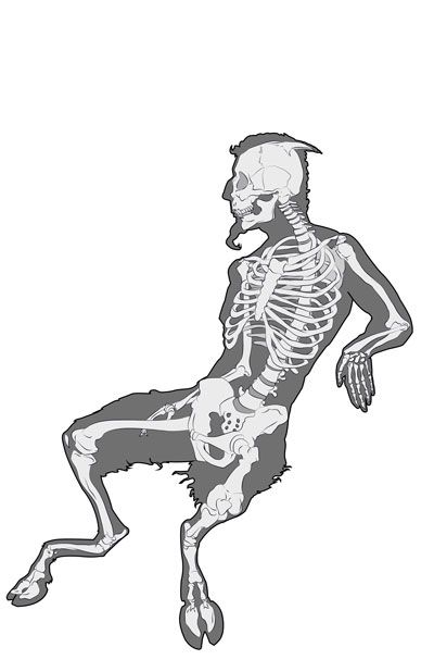 400x618 Satyr Skeleton - Satyr Drawing